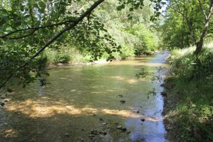 rivière le lez mai 2026