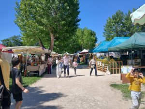 allée foire 2025 nyons